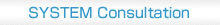 SYSTEM Consultation