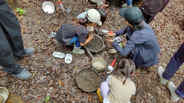 sDSC_0476.jpg